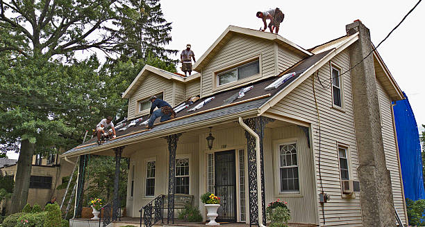 Best Best Roofing Contractors  in Fort Belknap Agency, MT